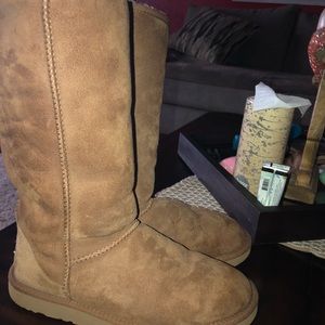 Tall Uggs Size 6
